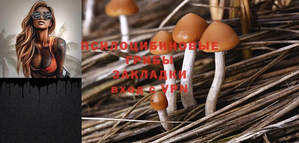 марки nbome Беломорск