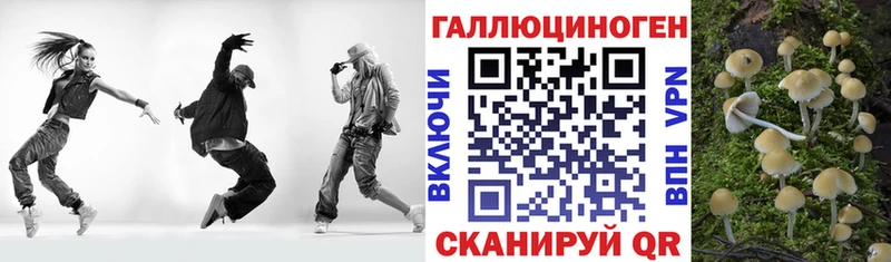 Галлюциногенные грибы прущие грибы  Купить  Ростов-на-Дону 